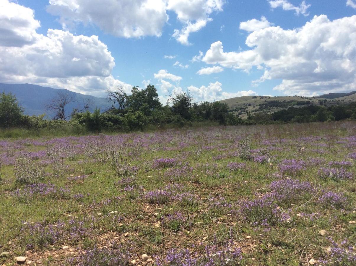 Da Sciuri Case Vacanza Barisciano Dış mekan fotoğraf